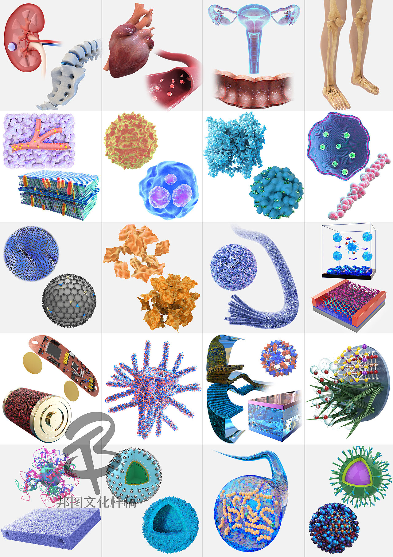 示意图 机制图 SCI论文绘图