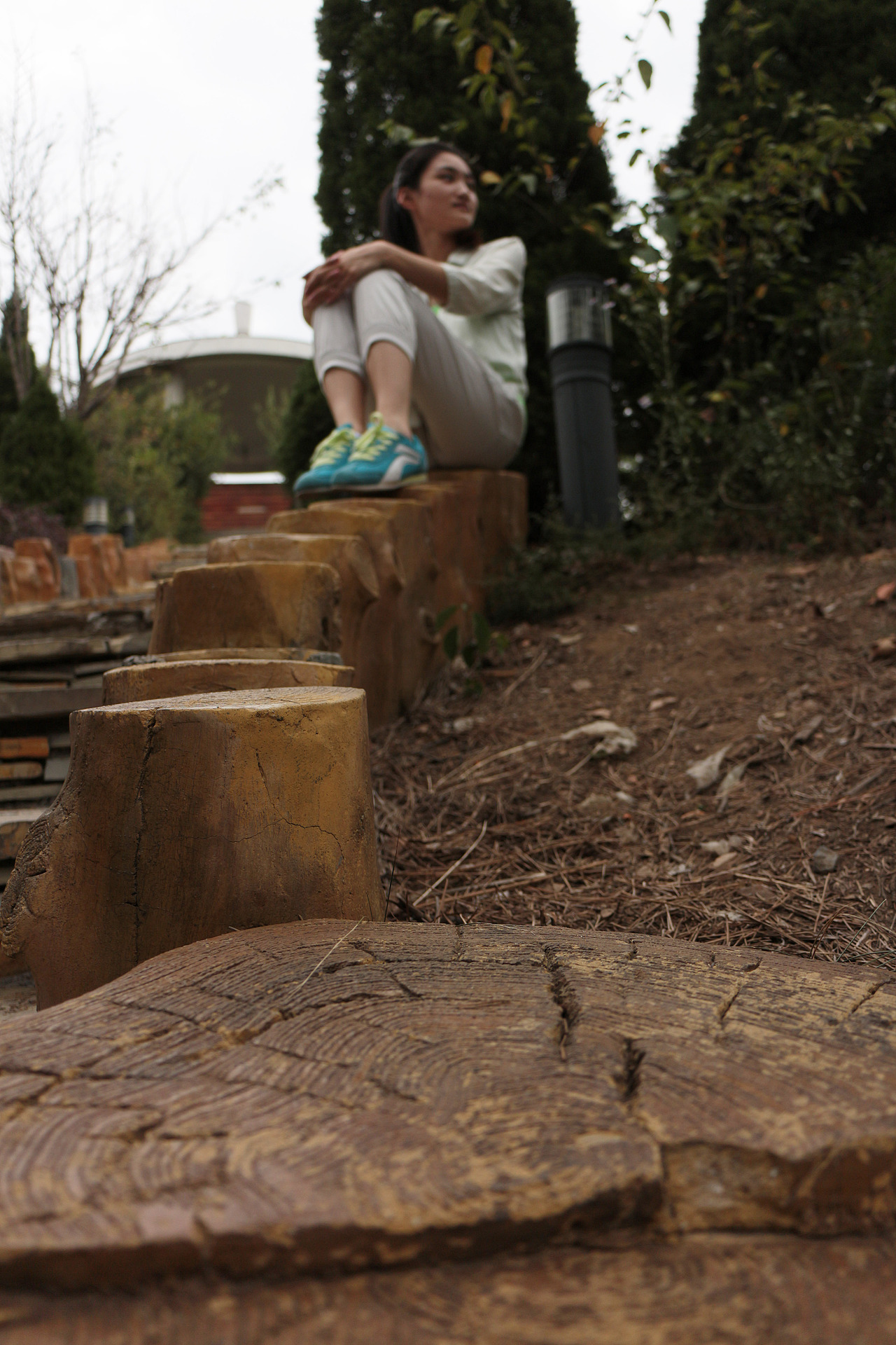 大连莲花台掠影