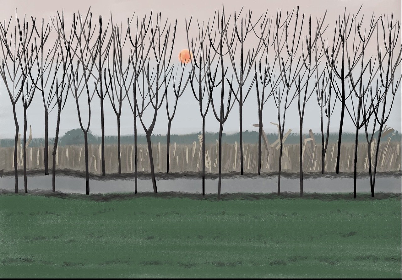 北方的冬天（图ZMjM1NTUxNjQ4） - 艺术插画 - 站酷设计师插画师静水原创素材 - 站酷ZCOOL