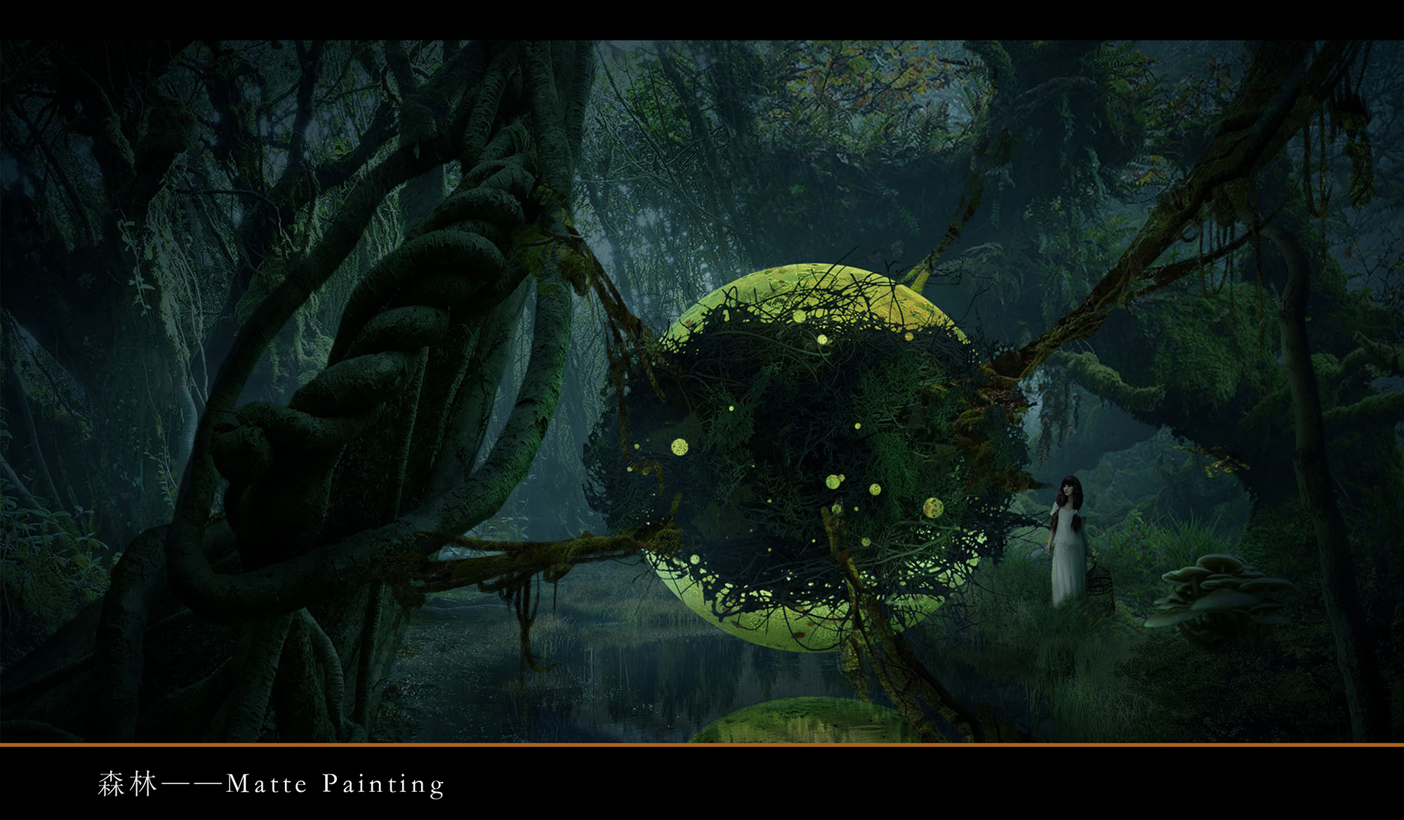 森林|影视|影视合成/剪辑|spirited - 原创作品 - 站酷 (zcool)