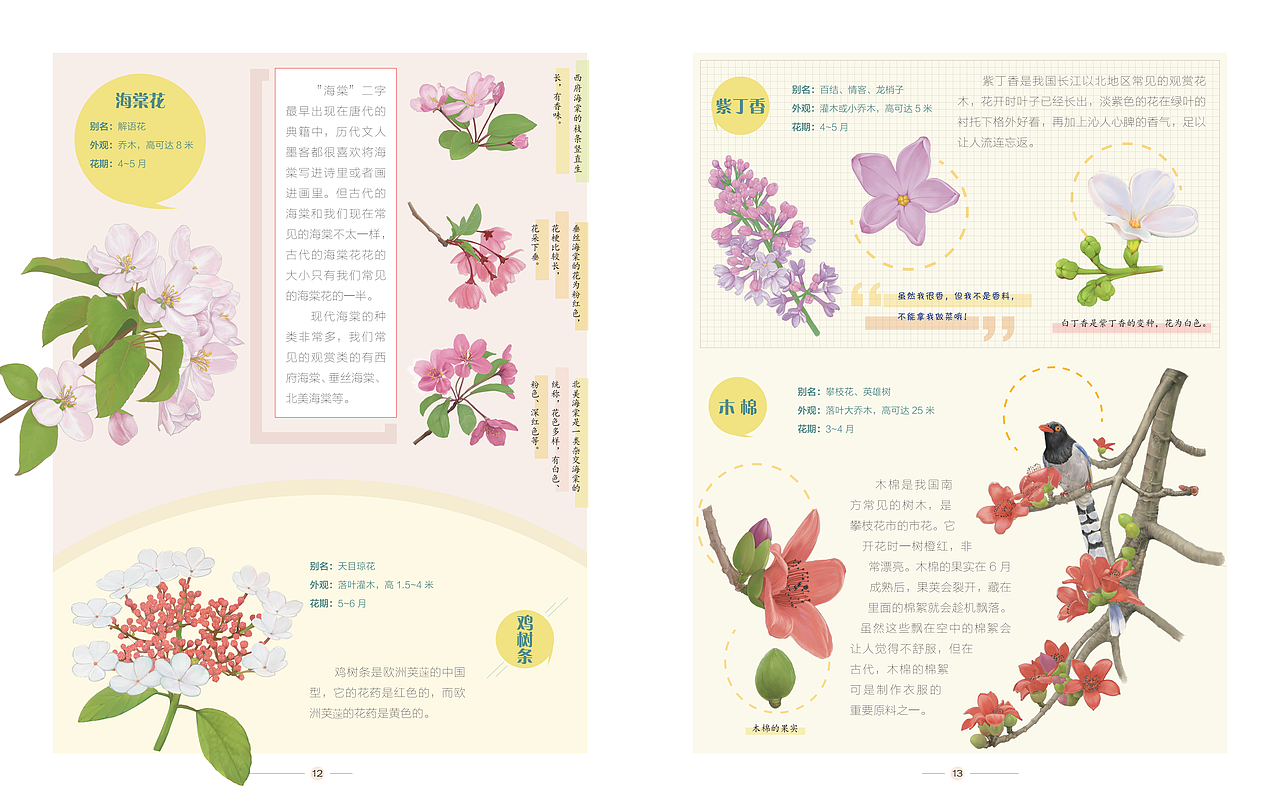 去野外-奇花异草（图ZMjgxMzIxODcy） - 儿童插画 - 站酷设计师高傲的喵原创素材 - 站酷ZCOOL