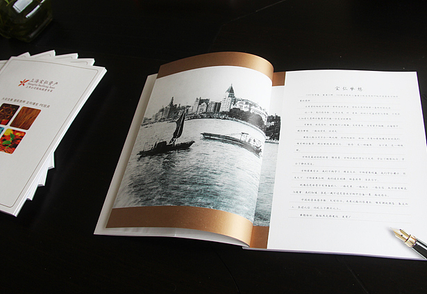 投资企业画册设计