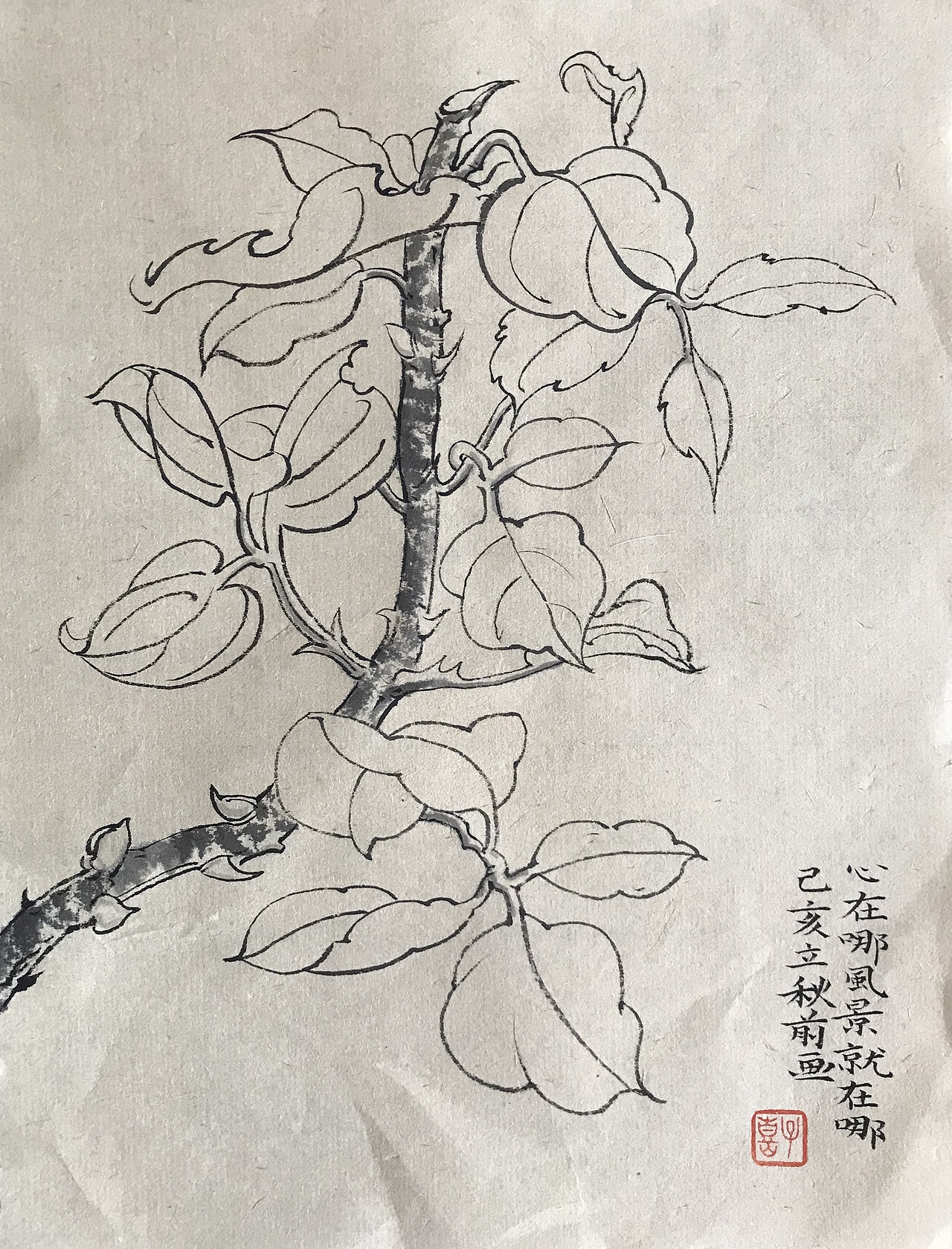 心在哪风景就在哪
愿你阳光、喜乐、自在、祥和