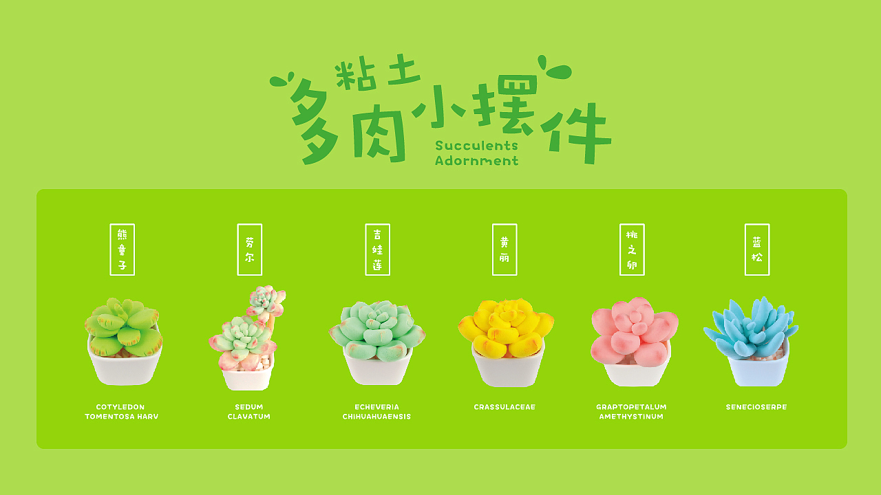 包装设计-多肉小摆件