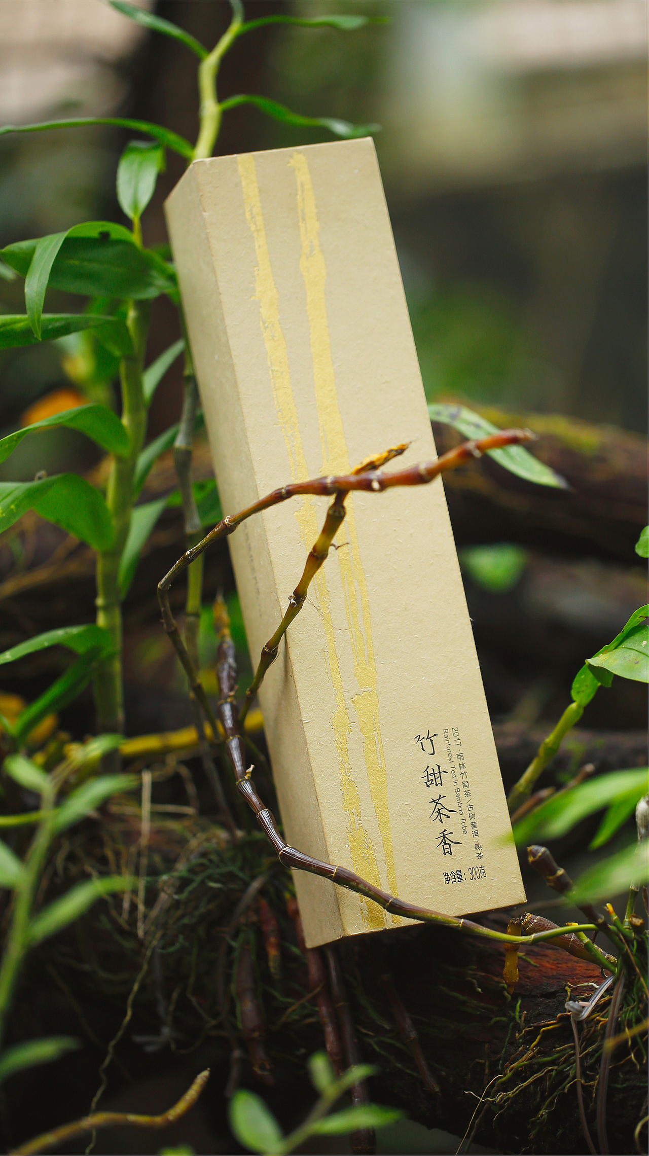 容品牌:雨林古茶坊 - 天猫店产品策划&茶包装设计