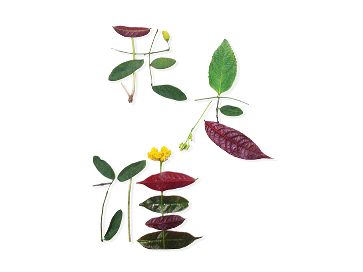 字·然（图ZODkzNDQ3Mg==） - 字体/字形 - 站酷设计师沐卡卡原创素材 - 站酷ZCOOL