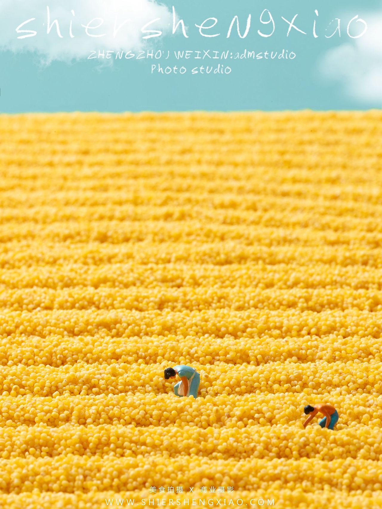 给谷子小米拍组金黄色复古微距写真（图ZMzY0NDM0NjIw） - 美食摄影 - 站酷设计师张廓原创素材 - 站酷ZCOOL