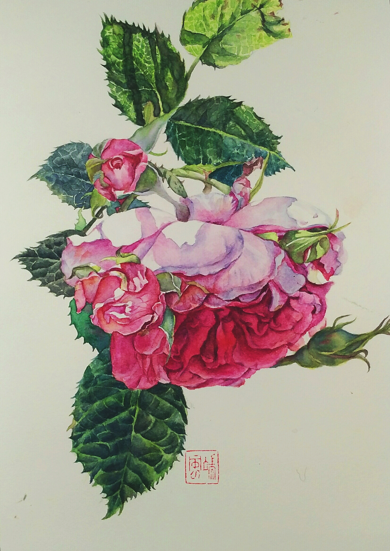 水彩写实花卉|插画|创作习作|风中一颗铁菠萝 - 临摹作品 - 站酷 (zco