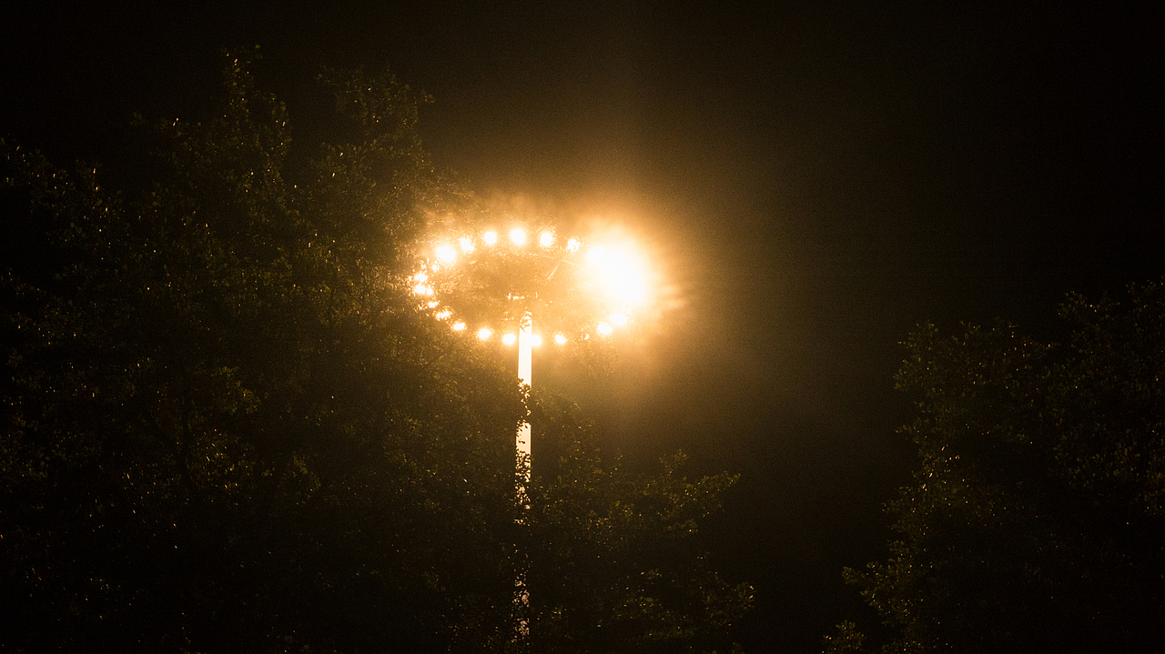 在南山上班一年了