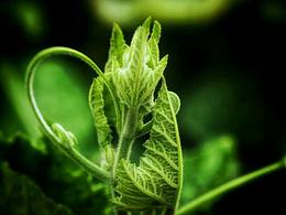 側(cè)逆光用的恰到好處。