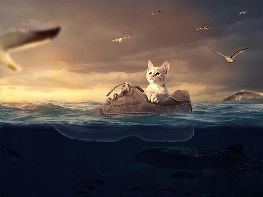 合成（photoshop lady 自习作）（个人主页-ZNDE0MTcyNjQ=） - 运营设计 - 站酷设计师喝椰子吗原创素材 - 站酷ZCOOL