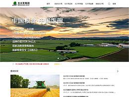 北大荒_網(wǎng)頁改版設(shè)計(jì)_練習(xí)_非網(wǎng)站現(xiàn)網(wǎng)站設(shè)計(jì)