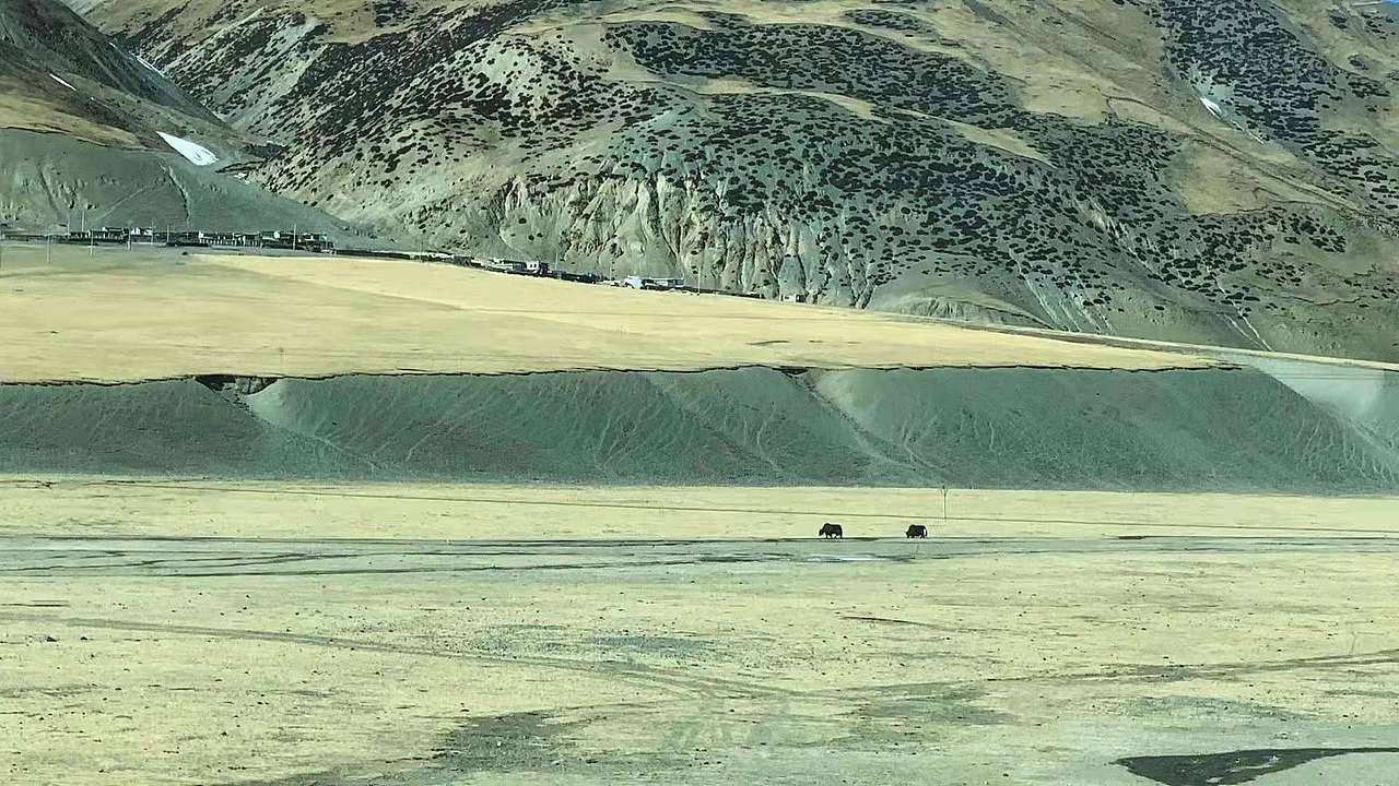 布达拉宫金顶创作（图ZMjU4NzMxMDY0） - 创作习作 - 站酷设计师张贇ILLUSTRATION原创素材 - 站酷ZCOOL