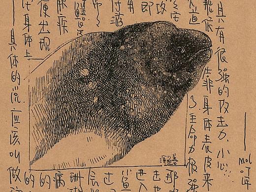 这个关于海鲜的插画手稿(四)