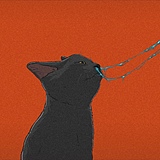 XOYC的头像