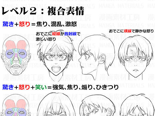 「素材」表情筋と骨格で作る顔の表情解説 part 01