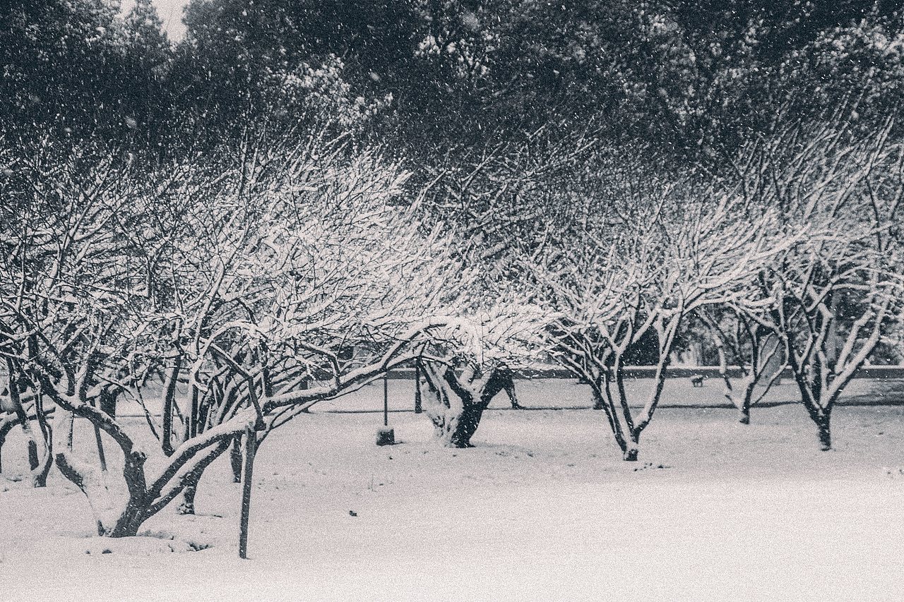 2021年长沙-初雪
