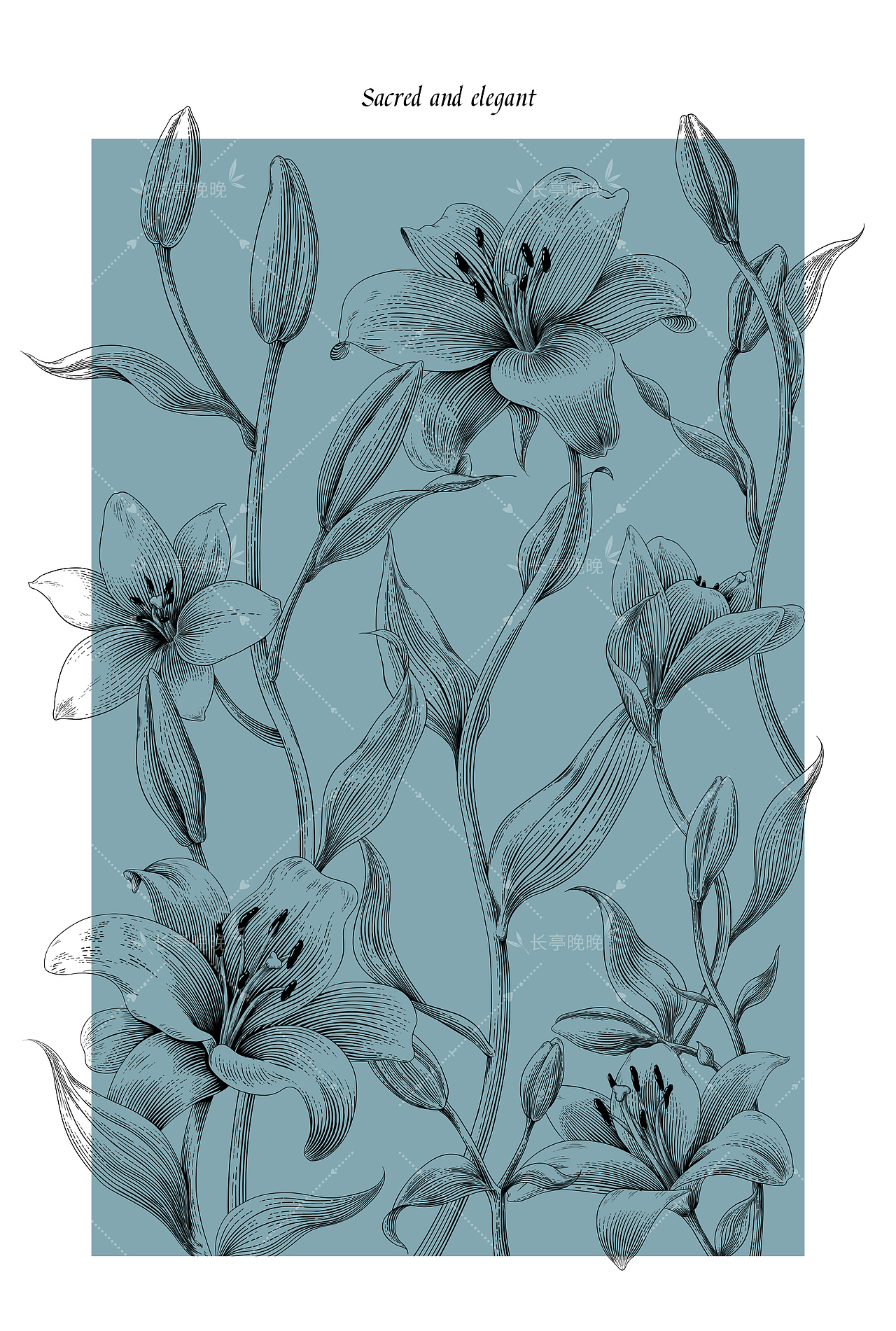 百合花/虾——商业插画版画风（图ZMzY4MTI5NTYw） - 商业插画 - 站酷设计师长亭晚晚原创素材 - 站酷ZCOOL