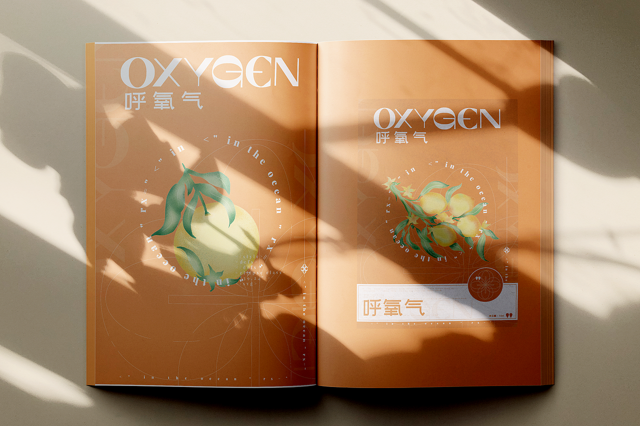 OXYGEN/呼氧气护肤品牌平面设计-个人练习
