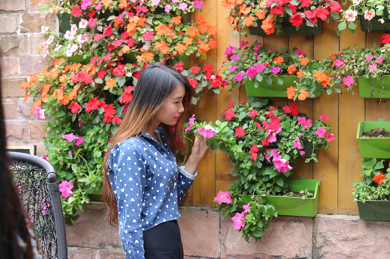 我拍的一些未经修饰的图