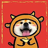 胡萝卜最铁的头像
