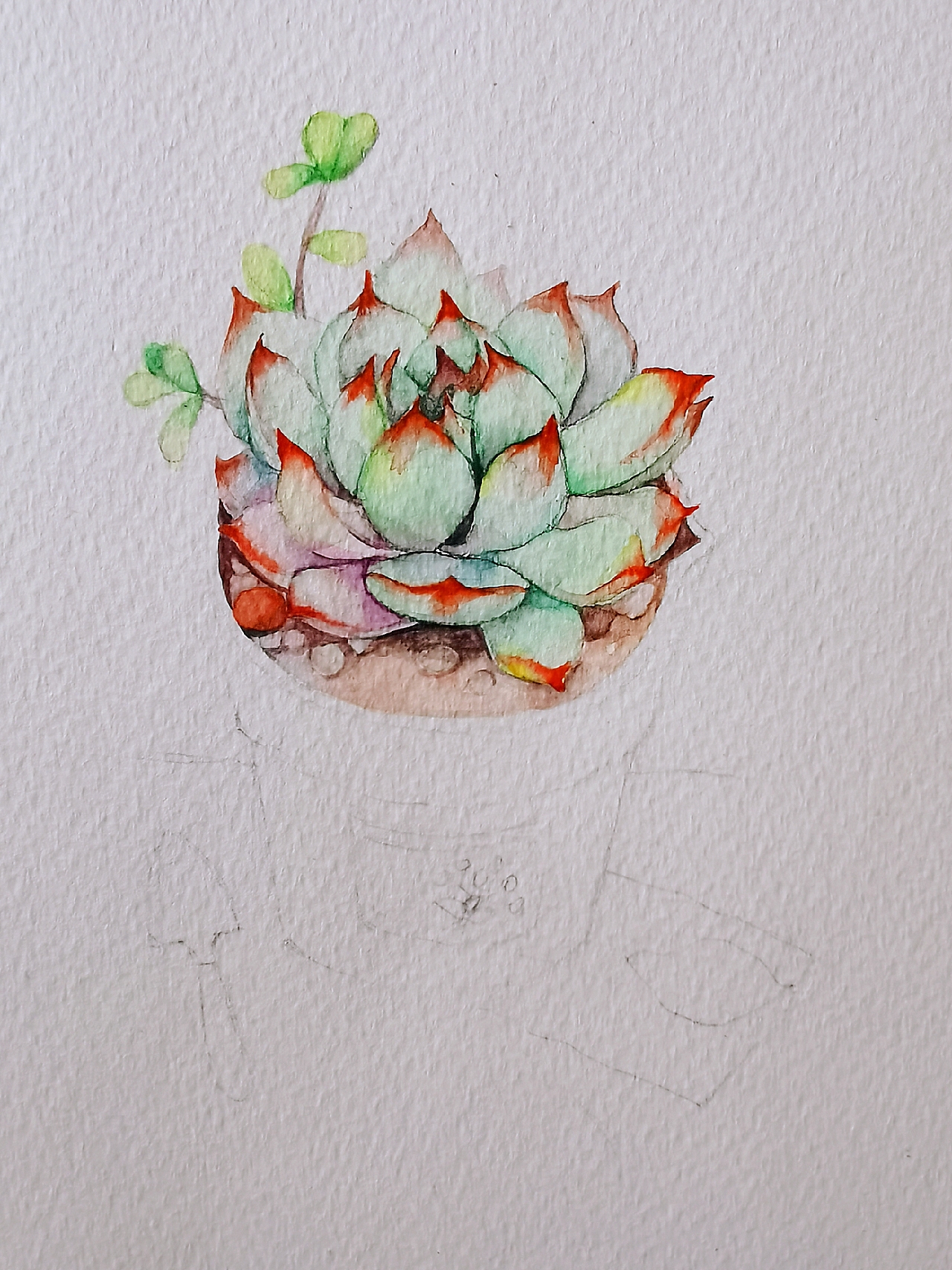 小肉肉（图ZMTk5NjAwOTIw） - 创作习作 - 站酷设计师Echo731393527原创素材 - 站酷ZCOOL