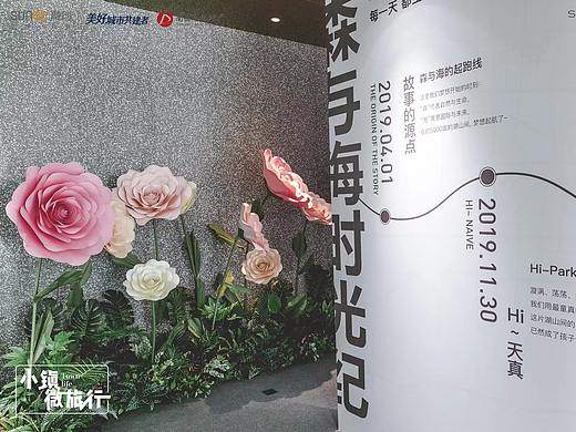 森与海 城市微旅行