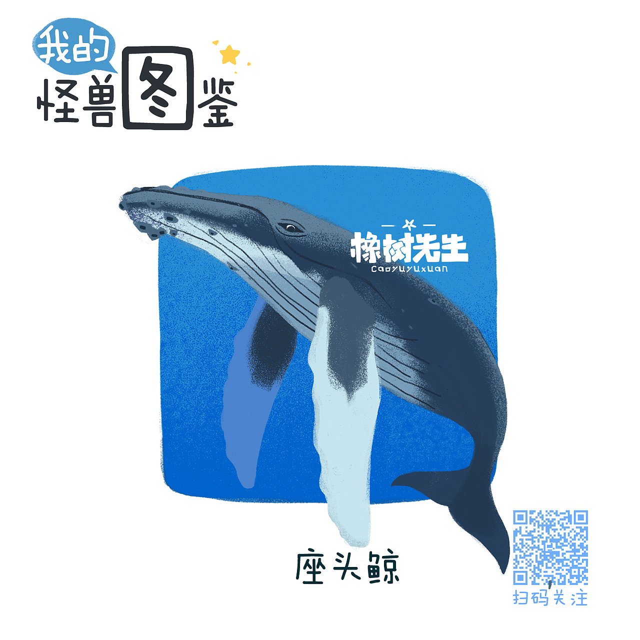我的怪兽图鉴（海水鱼）（图ZMTEyMTAzNzY4） - 商业插画 - 站酷设计师橡树先生原创素材 - 站酷ZCOOL