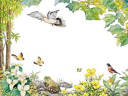 手繪水彩插圖（科普類）