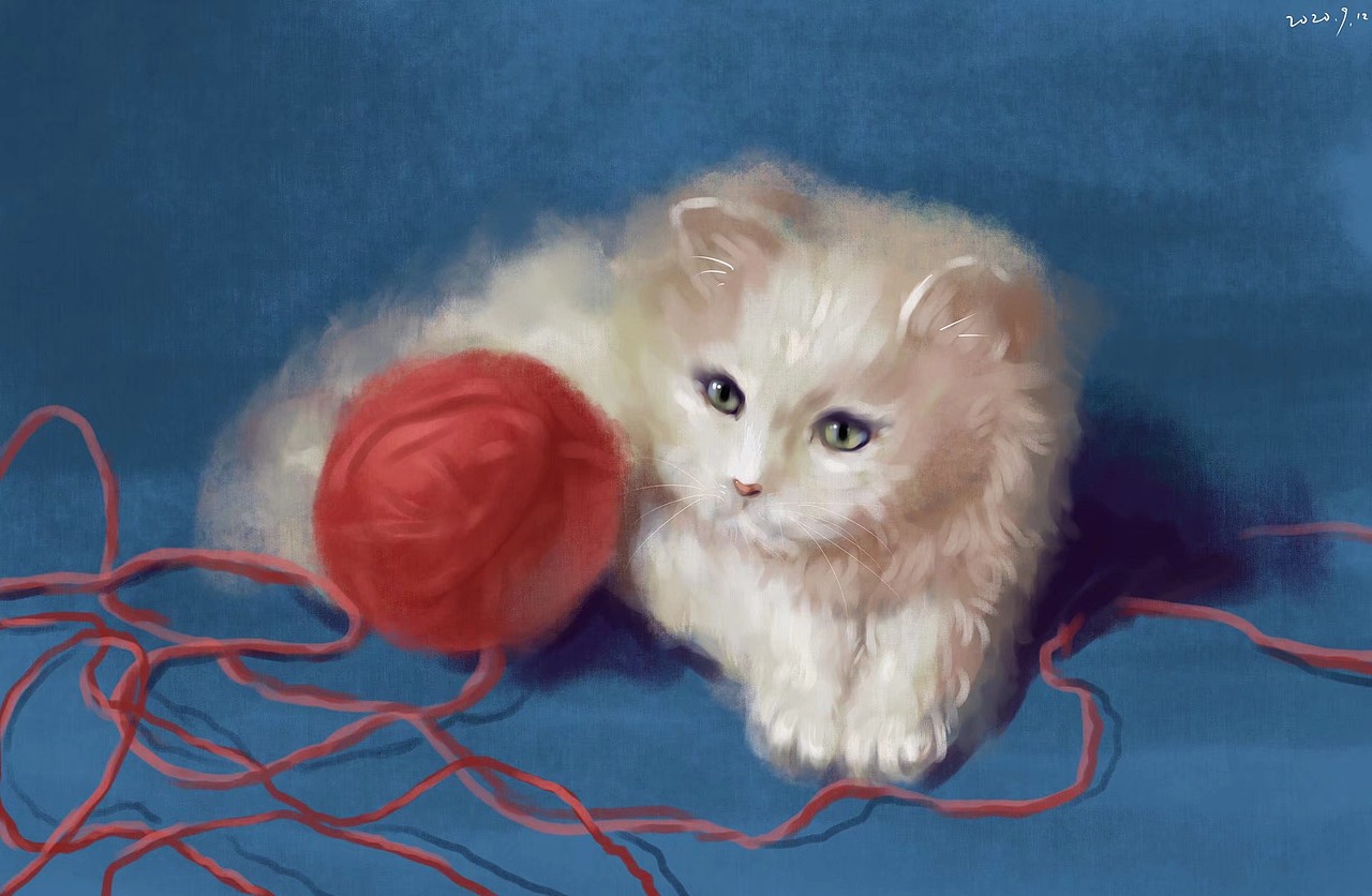 画只猫（图ZMjI0NzIyMjgw） - 新锐潮流插画 - 站酷设计师我叫WJN原创素材 - 站酷ZCOOL