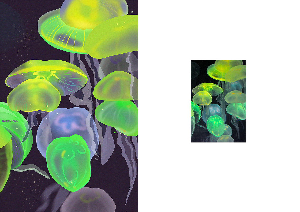 2021年8月速涂练习|食物&动物（图ZMjcxMDU2OTgw） - 创作习作 - 站酷设计师dawndan88原创素材 - 站酷ZCOOL