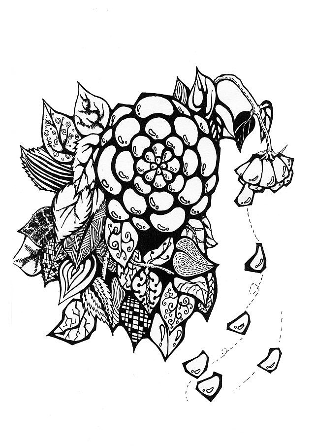 速写花卉/装饰画（图ZMzUzMjI5NTI=） - 绘画 - 站酷设计师瞄了和咪灬原创素材 - 站酷ZCOOL