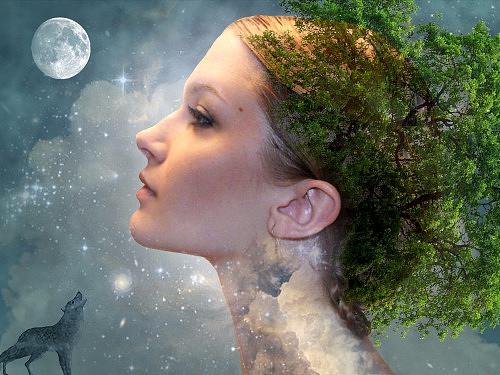 人与自然合成人像