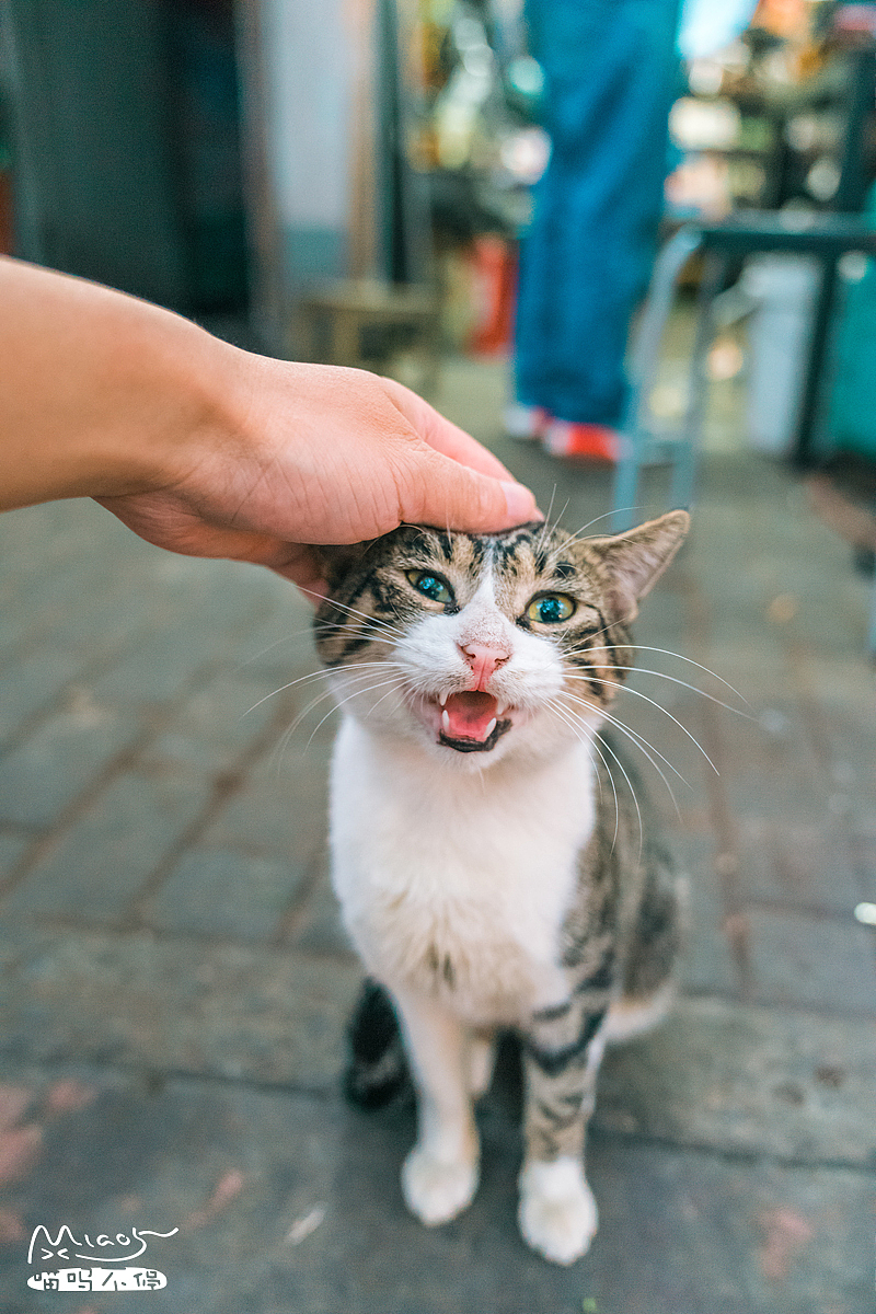 妈蛋,通货涨价,老子只收小黄鱼哈!