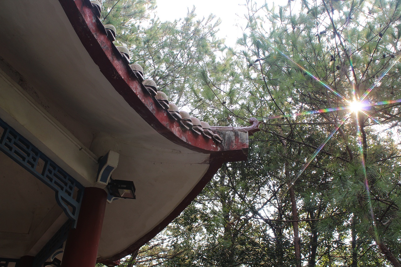 信丰县南山公园随拍