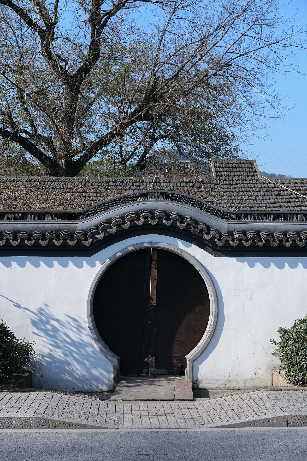 杭州馒头山冬季记忆