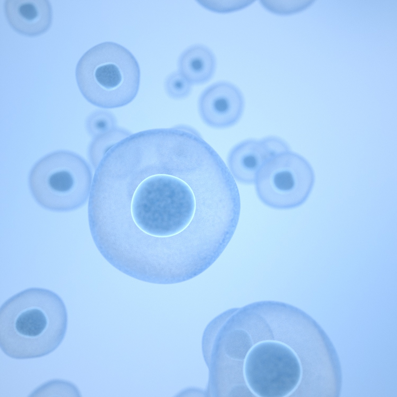 AHC-黄金面膜视频（图ZMjY1NDE2NDcy） - 动画/影视 - 站酷设计师时光重现原创素材 - 站酷ZCOOL