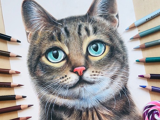 【耘之作】彩铅毛茸茸的动物