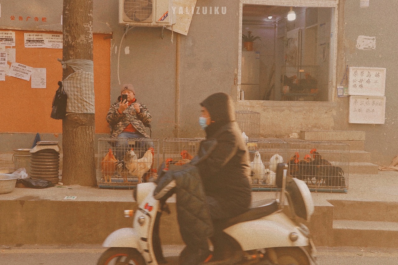 平淡且浪漫的灵魂.