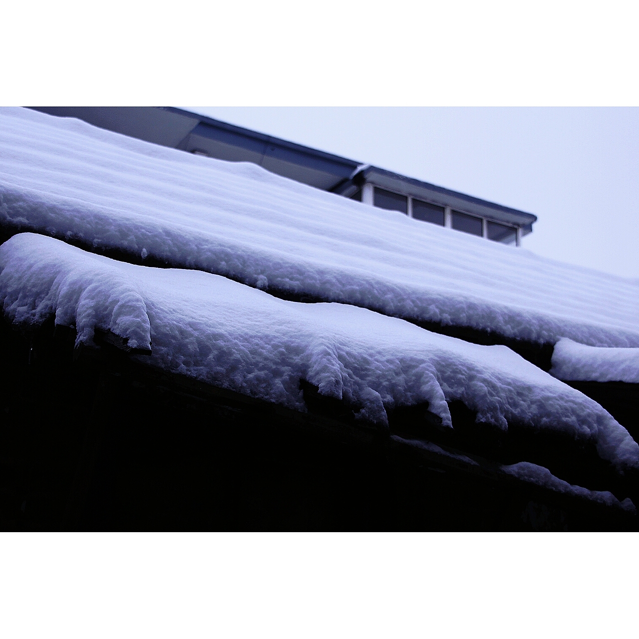 不負四季（圖ZMTk5MjI3MTI4） - 人文/紀實攝影 - 站酷設計師溜直的一個彎原創(chuàng)素材 - 站酷ZCOOL