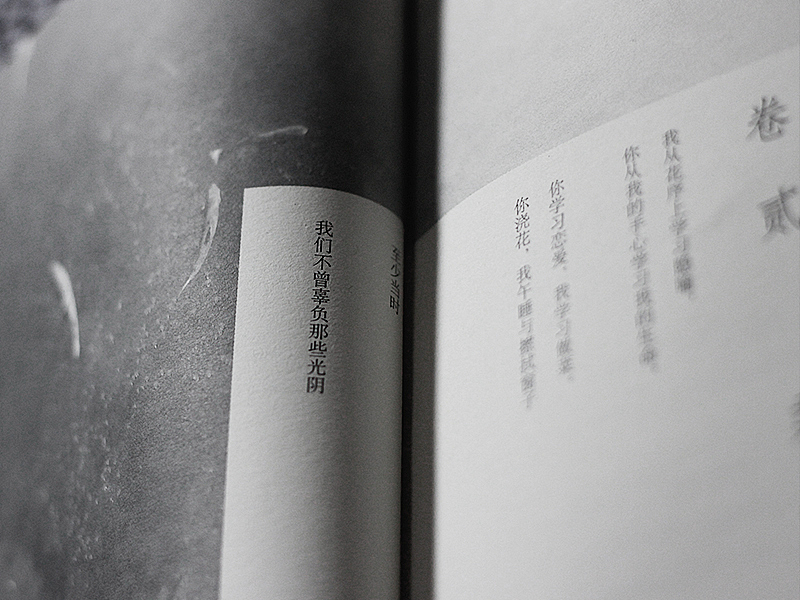 柔荑花序 Catkin(图ZMjAwNDYwOTY=) - 书籍/画册 - 站酷设计师eversong原创素材 - 站酷ZCOOL