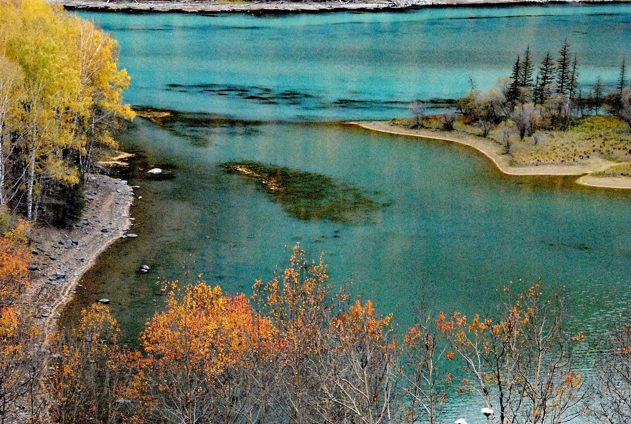 北疆喀纳斯风光