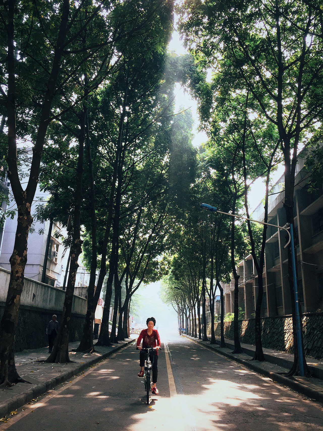 2017手机摄影第二季集合 （内附教程）