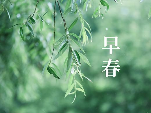 京东早春推荐页面