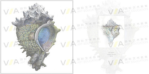 VA国际艺术教育插画专业作品集辅导