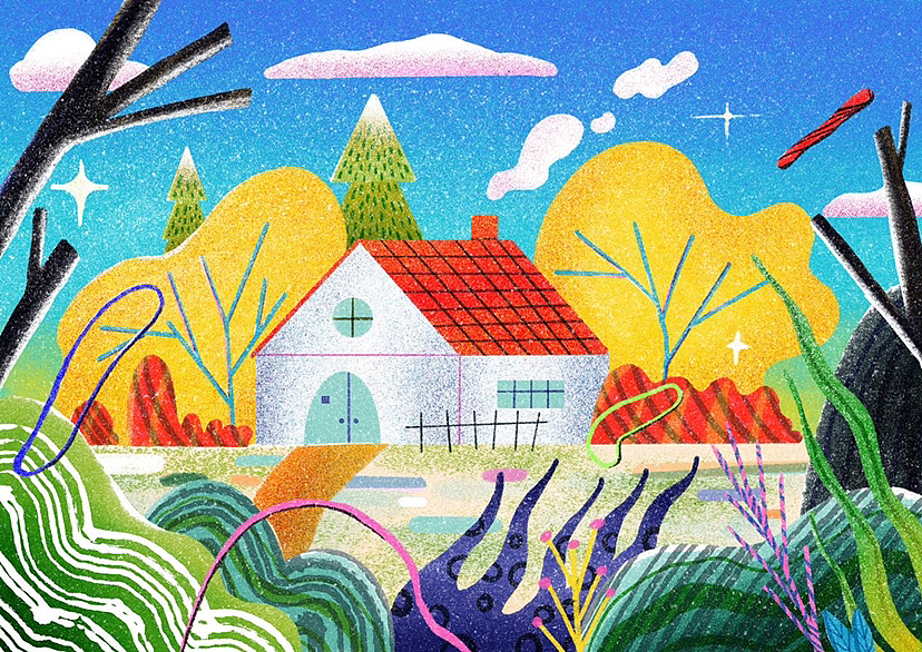 森林里有什么?🌲