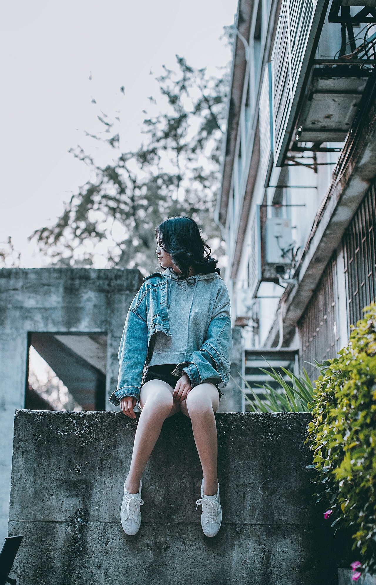 《红砖厂掠影》