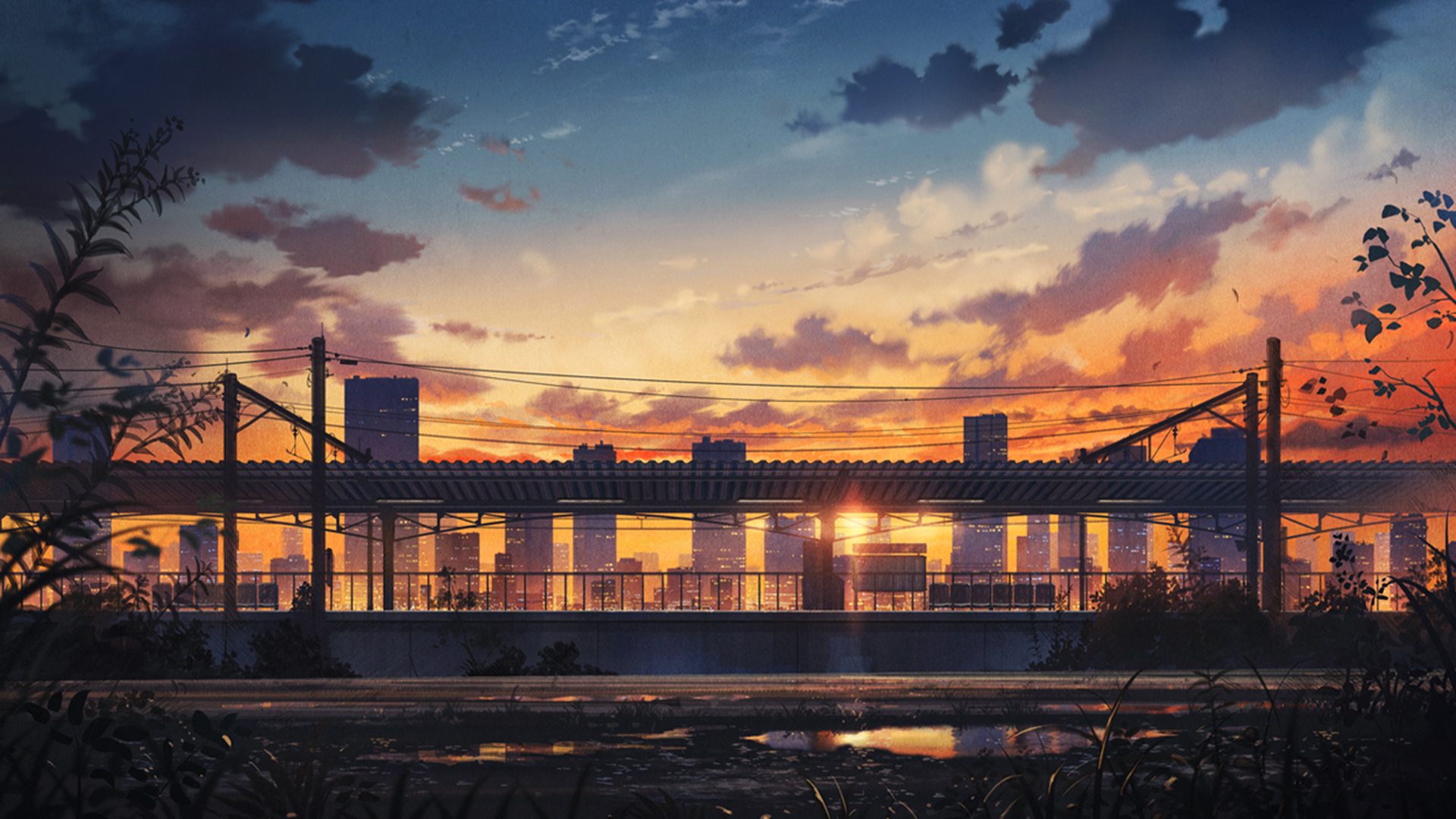 鳄鱼小丸子的个人主页（封面预览） - 主页封面设置 - 站酷设计师鳄鱼小丸子原创素材 - 站酷ZCOOL