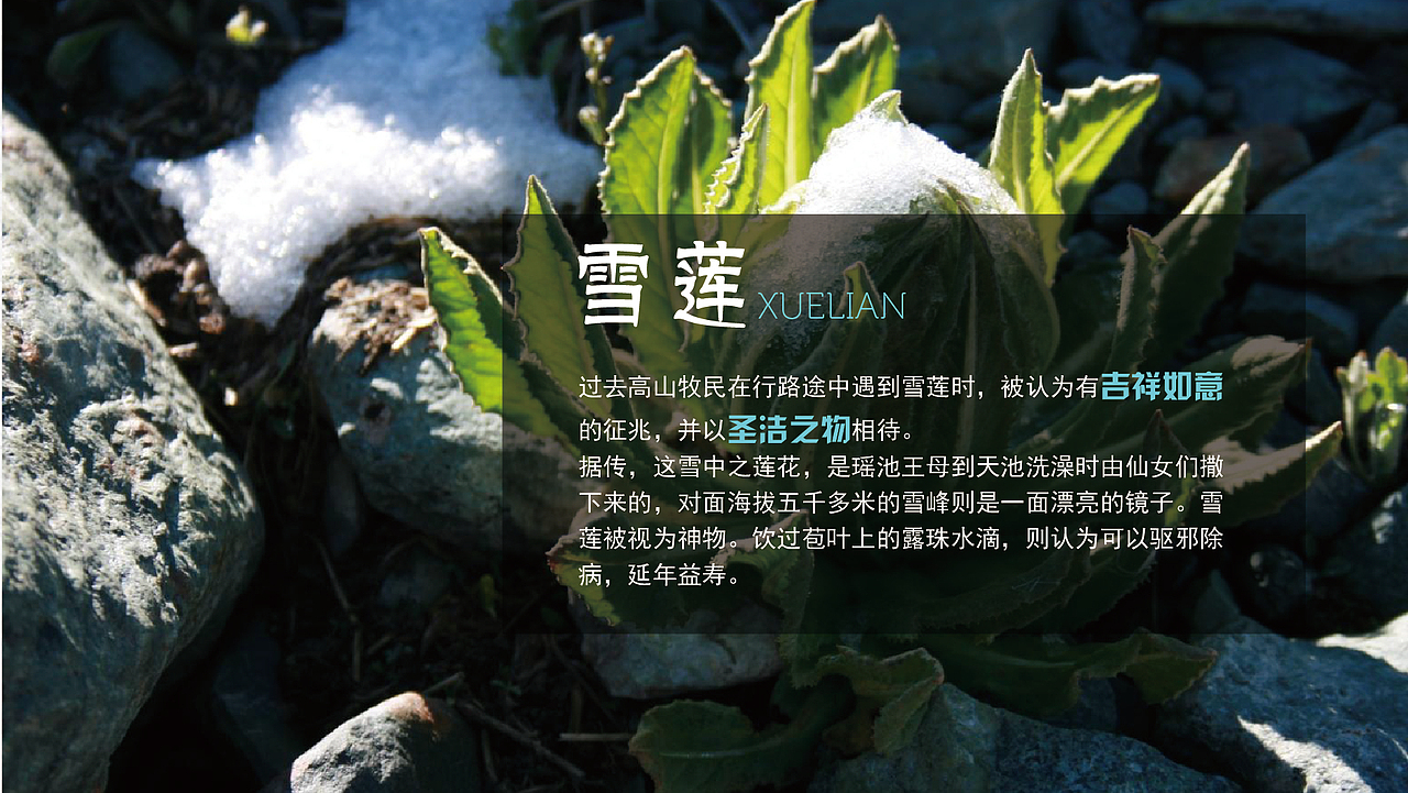 logo－新疆菜logo提案（图ZMTczNTE2MjA=） - Logo - 站酷设计师小二黑拔牙原创素材 - 站酷ZCOOL