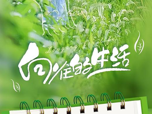 向往的生活亲子活动